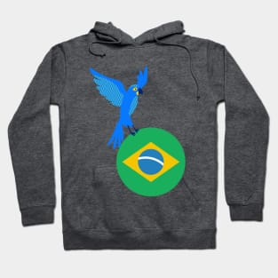 Brazilian natural beauties Hoodie